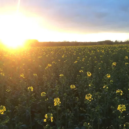 Ferienwohnung Abendsonne
